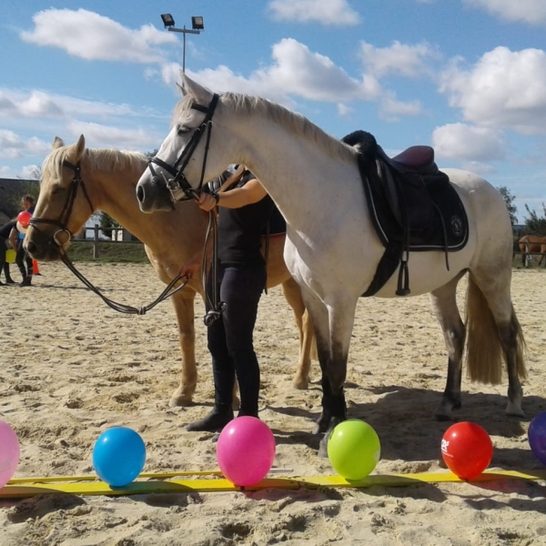 3 rivières équitation trdr5372