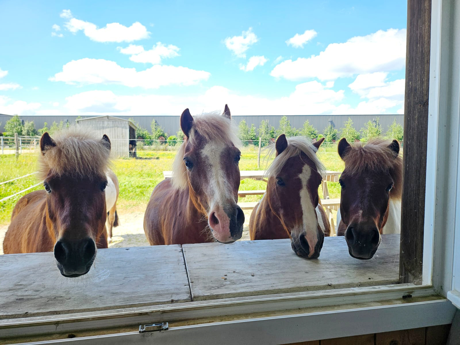 3 rivières équitation b3500315 bdc6 4d70 b1fb 493663009406