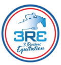 logo 3re transparent